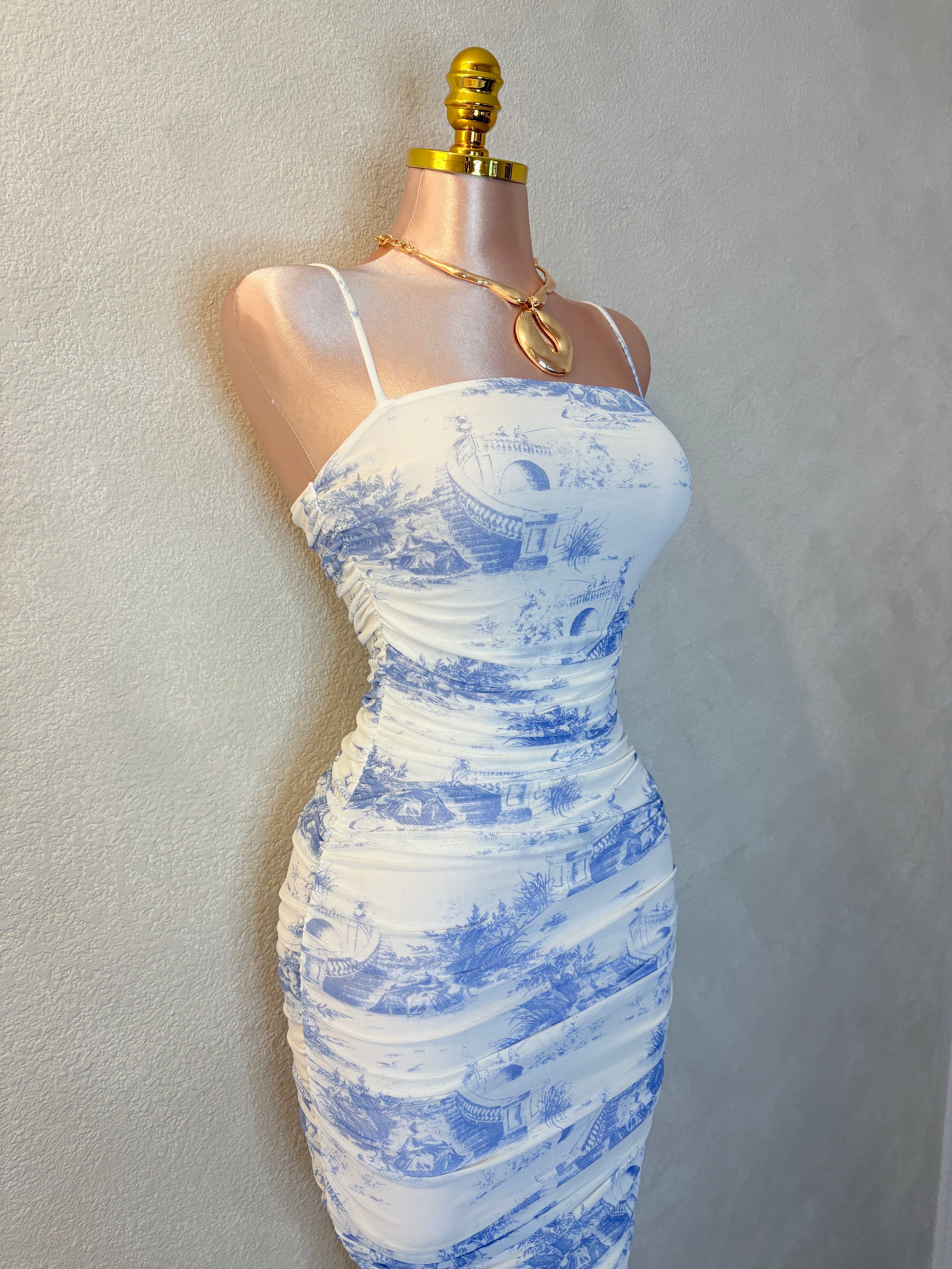 Berry Dream Dress